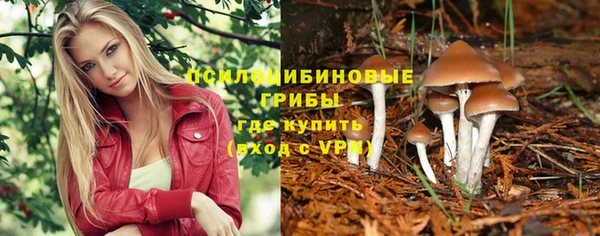 тгк Алексеевка