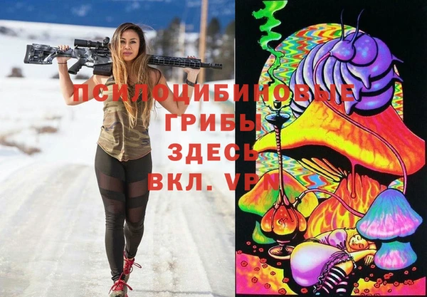молекула духа Алексин