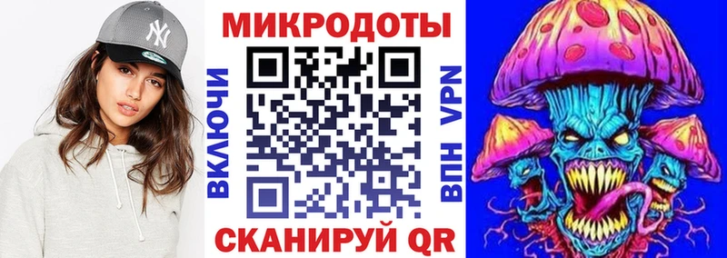 Псилоцибиновые грибы Psilocybine cubensis  Киселёвск 